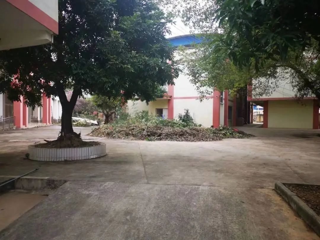 IMG_9443(20221212-005404).JPG 圖片