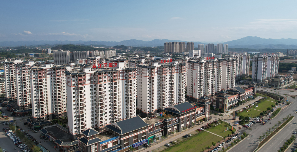 項目投資 項目投資