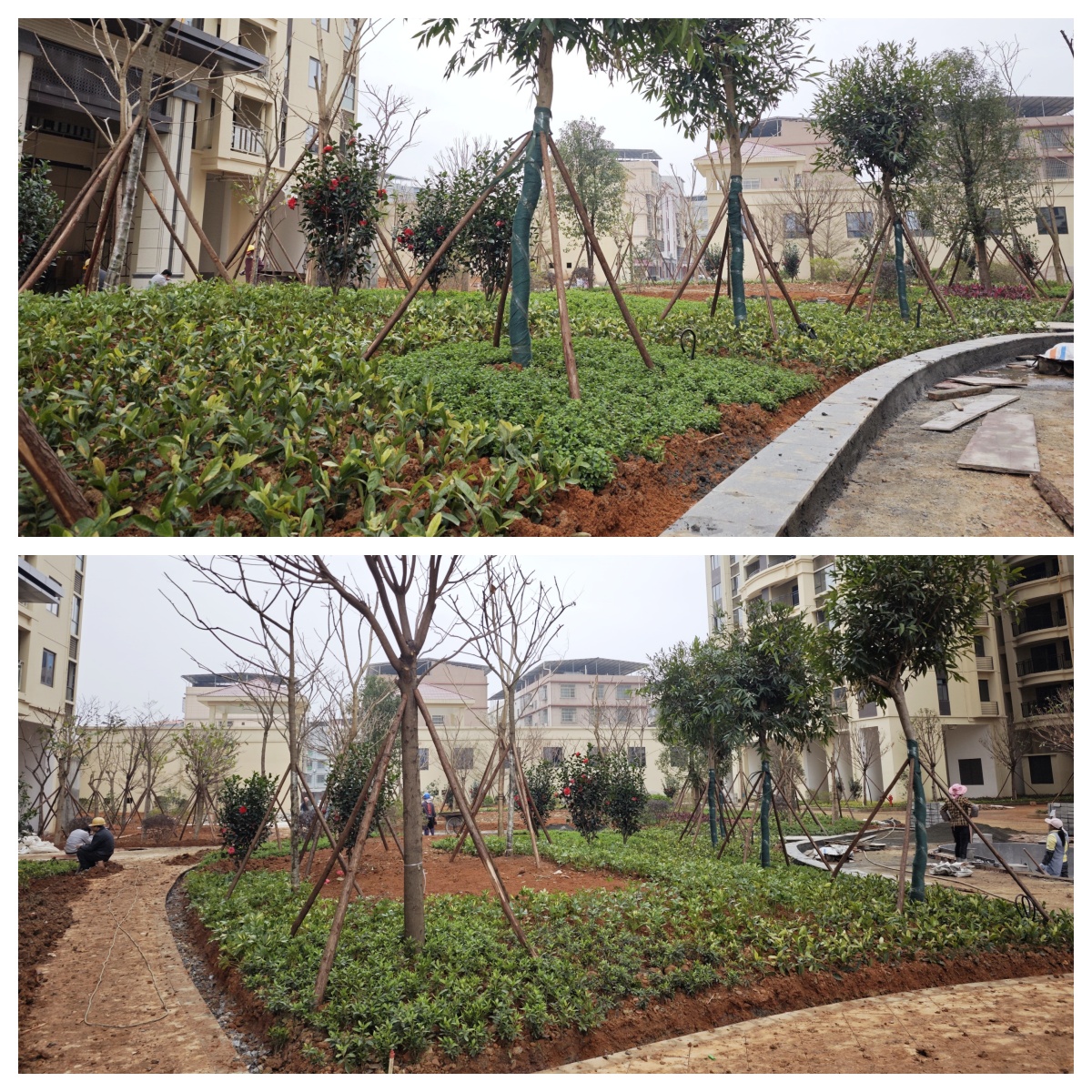 項目園林綠化_副本1 項目園林綠化_副本1